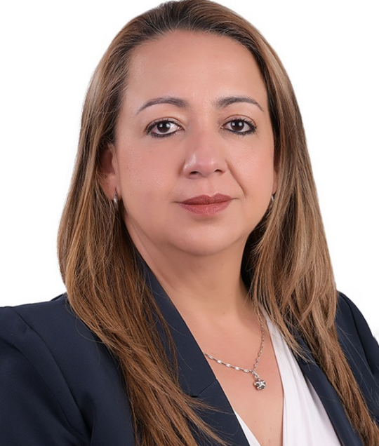 Director Comercial