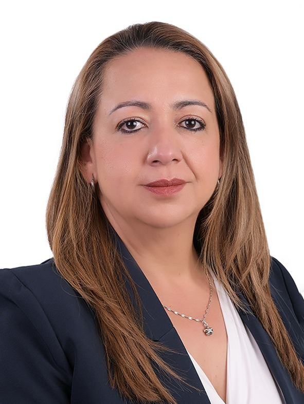 Director Comercial